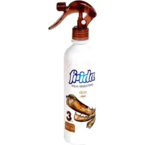 101011 scaled 3.webp