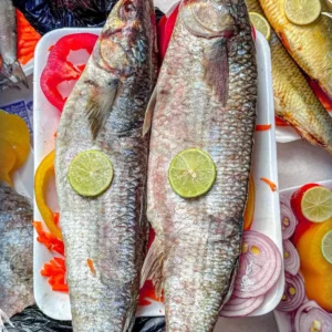 485799290 1196500225819127 5651845747966400285 n.webp