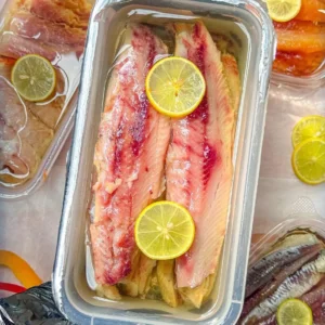 486227281 1196500442485772 5696456307685827467 n.webp