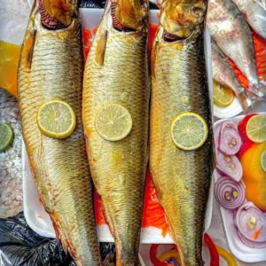 486469204 1196500419152441 3817464464996189177 n.webp