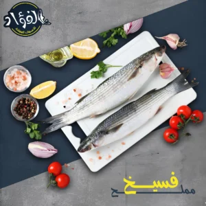 486572421 1166016251980365 2758811952337770140 n.webp